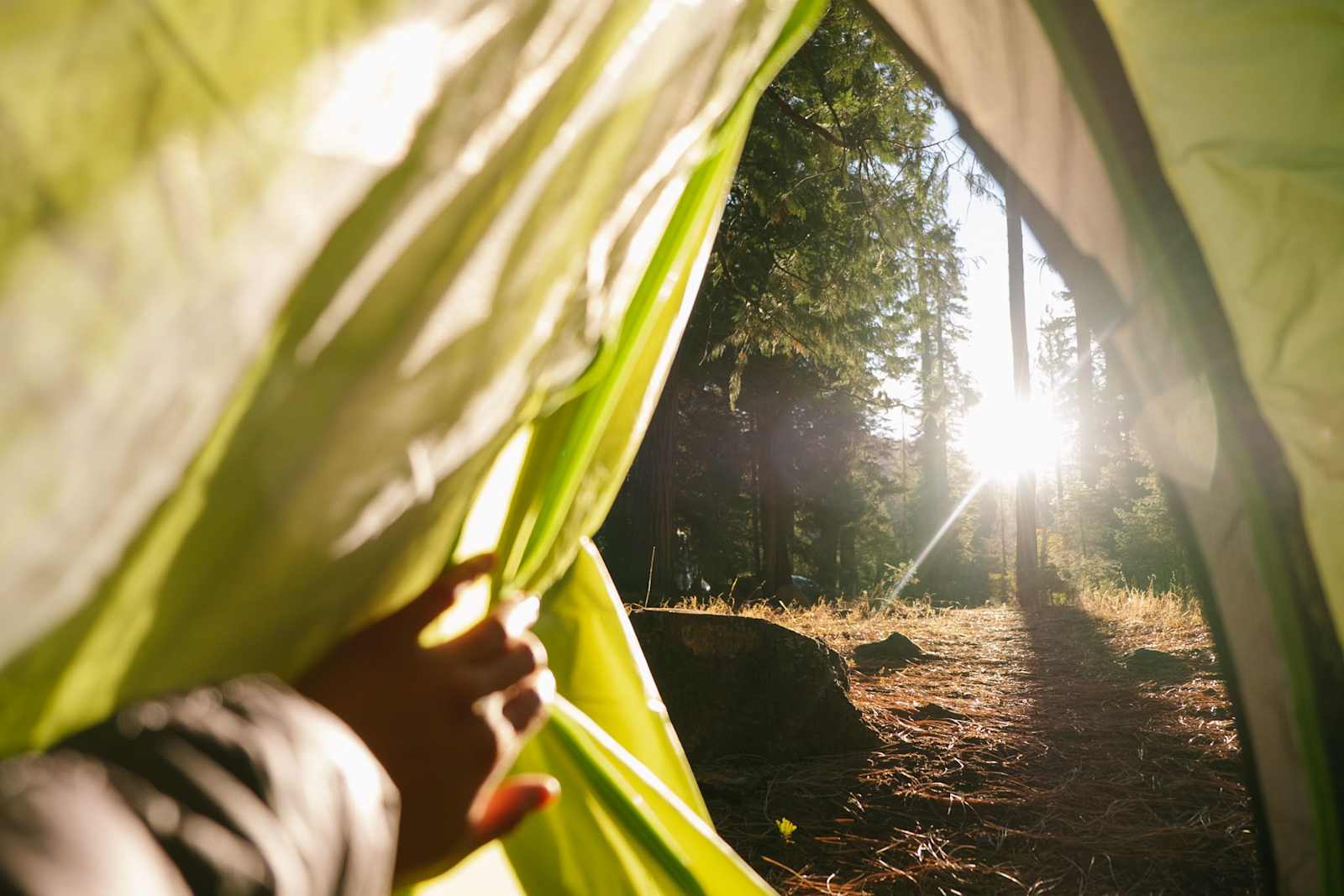 Mill Creek Resort - glamping.directory