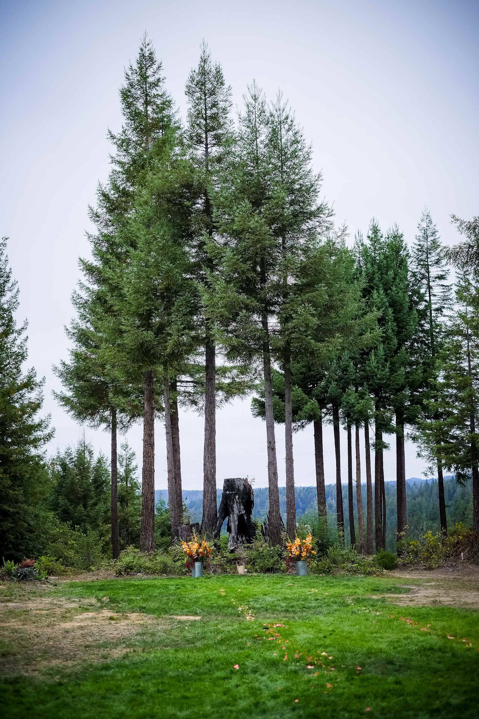 The Oak Show - Albion, California - glamping.directory