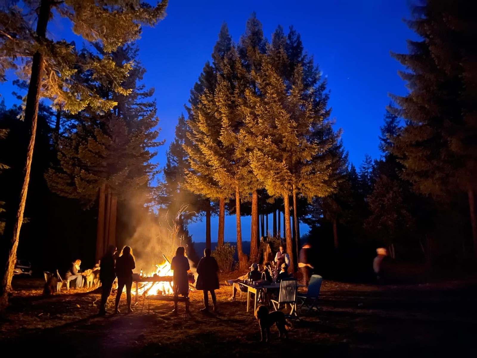 The Oak Show - Albion, California - glamping.directory