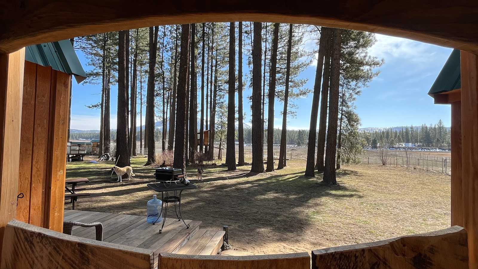 Lena's Landing- A Cozy Cabin - Portola, California - glamping.directory