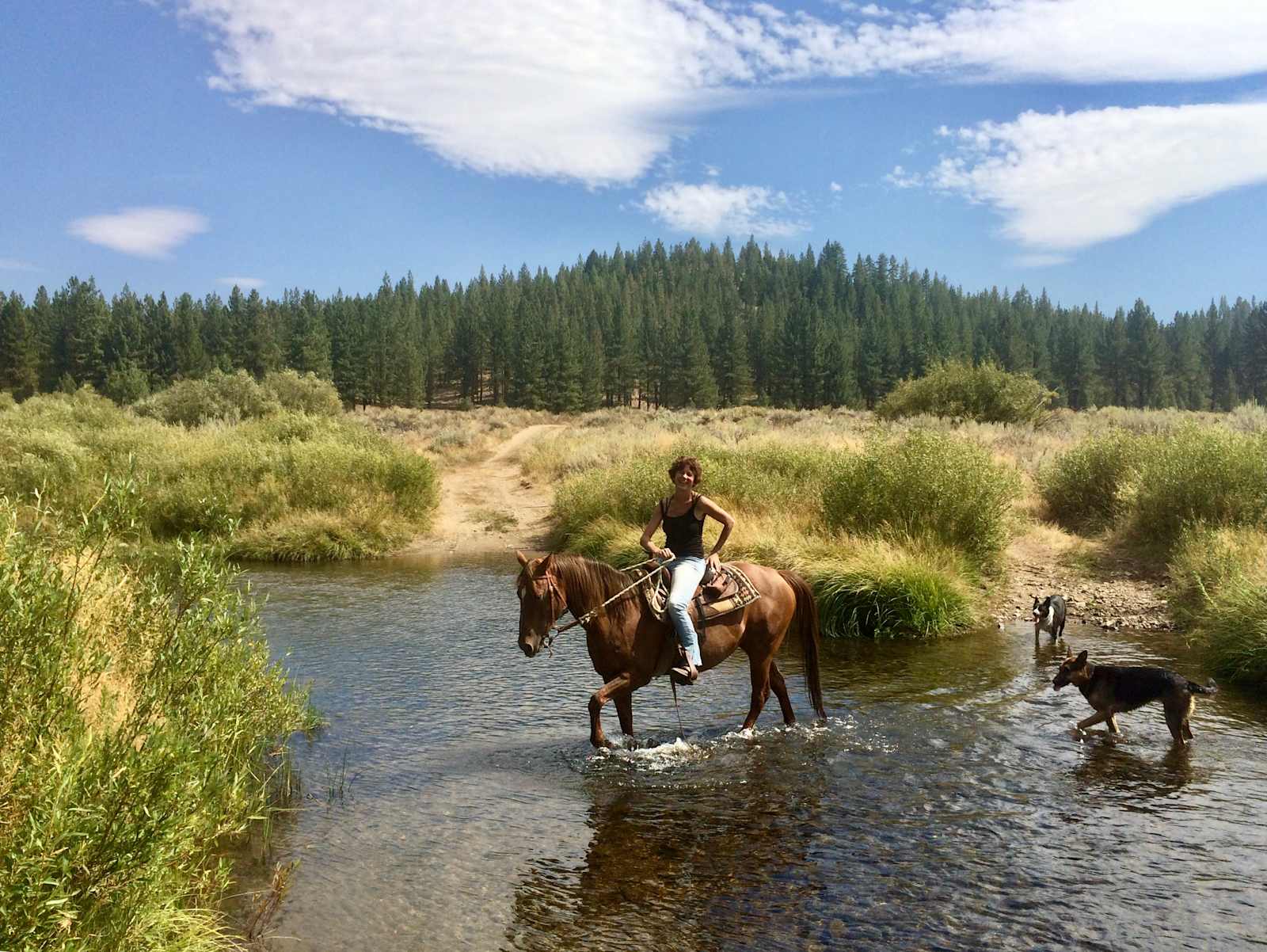 Lena's Landing- A Cozy Cabin - Portola, California - glamping.directory
