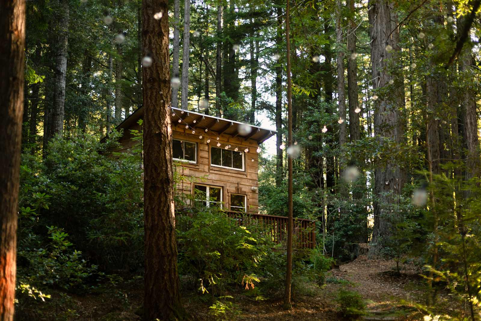 Woods by the Sea Ashram - glamping.directory