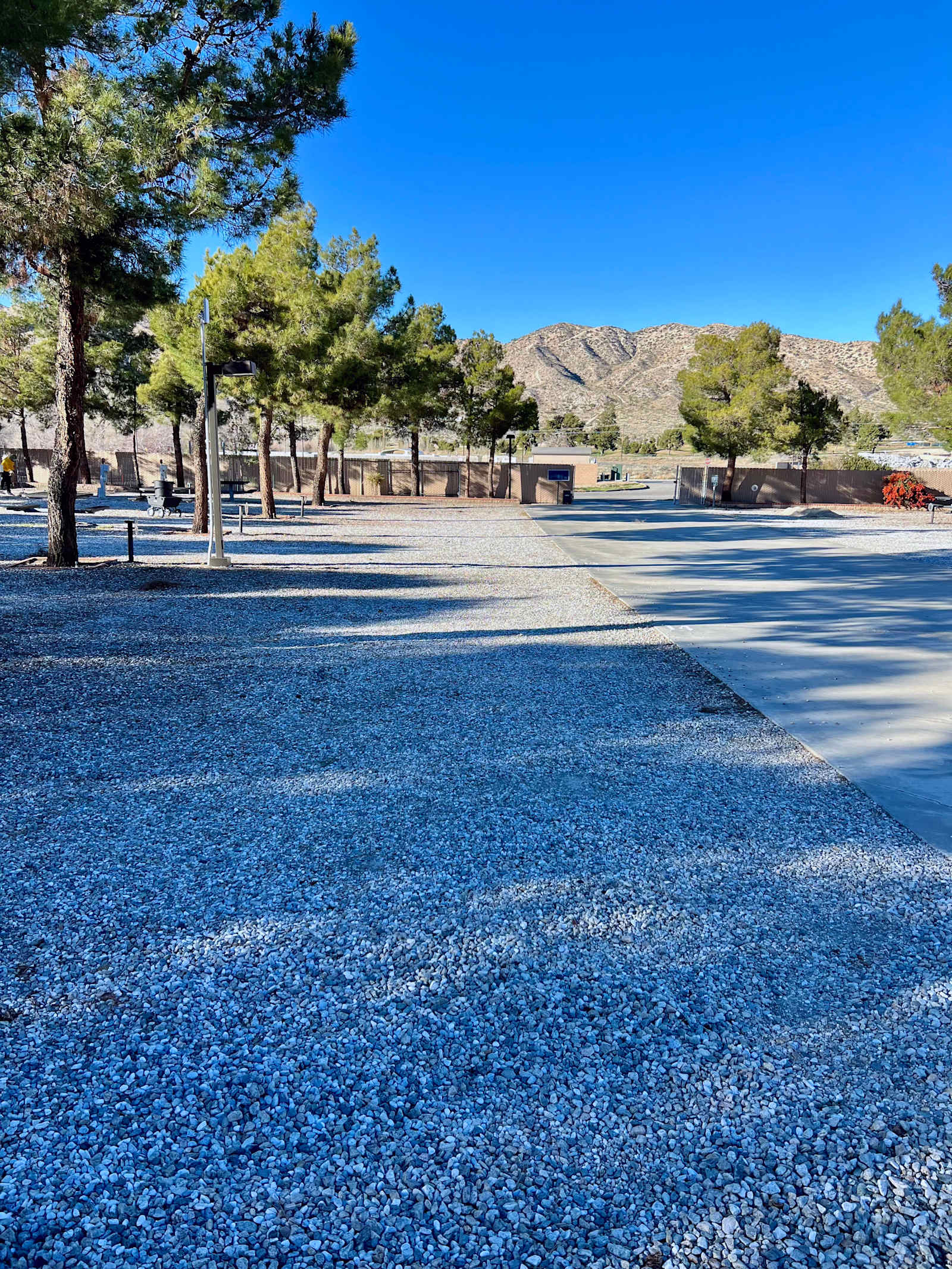 Desert Drifter RV Park-Joshua Tree - Yucca Valley, California - glamping.directory