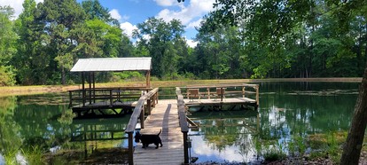 Peaceful Cabin with Dock and Pond Views in Georgia - Claxton, Georgia - glamping.directory