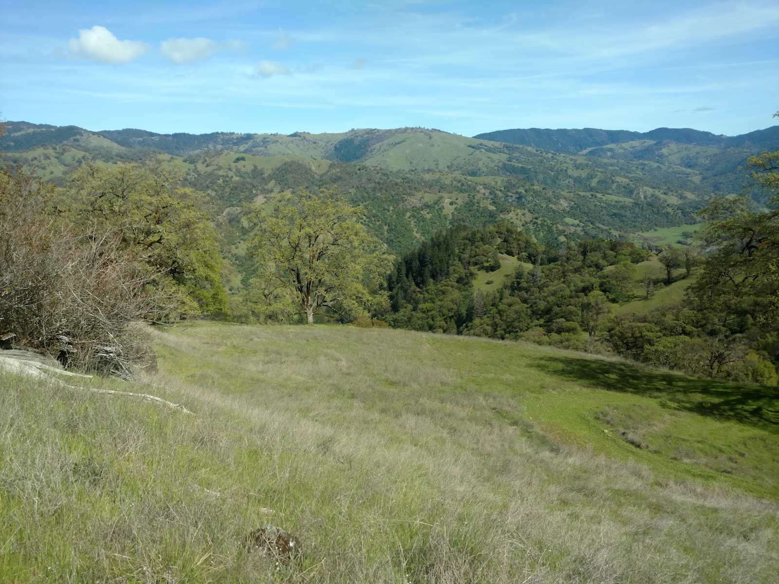 Jackrabbit Ranch - Laytonville, California - glamping.directory