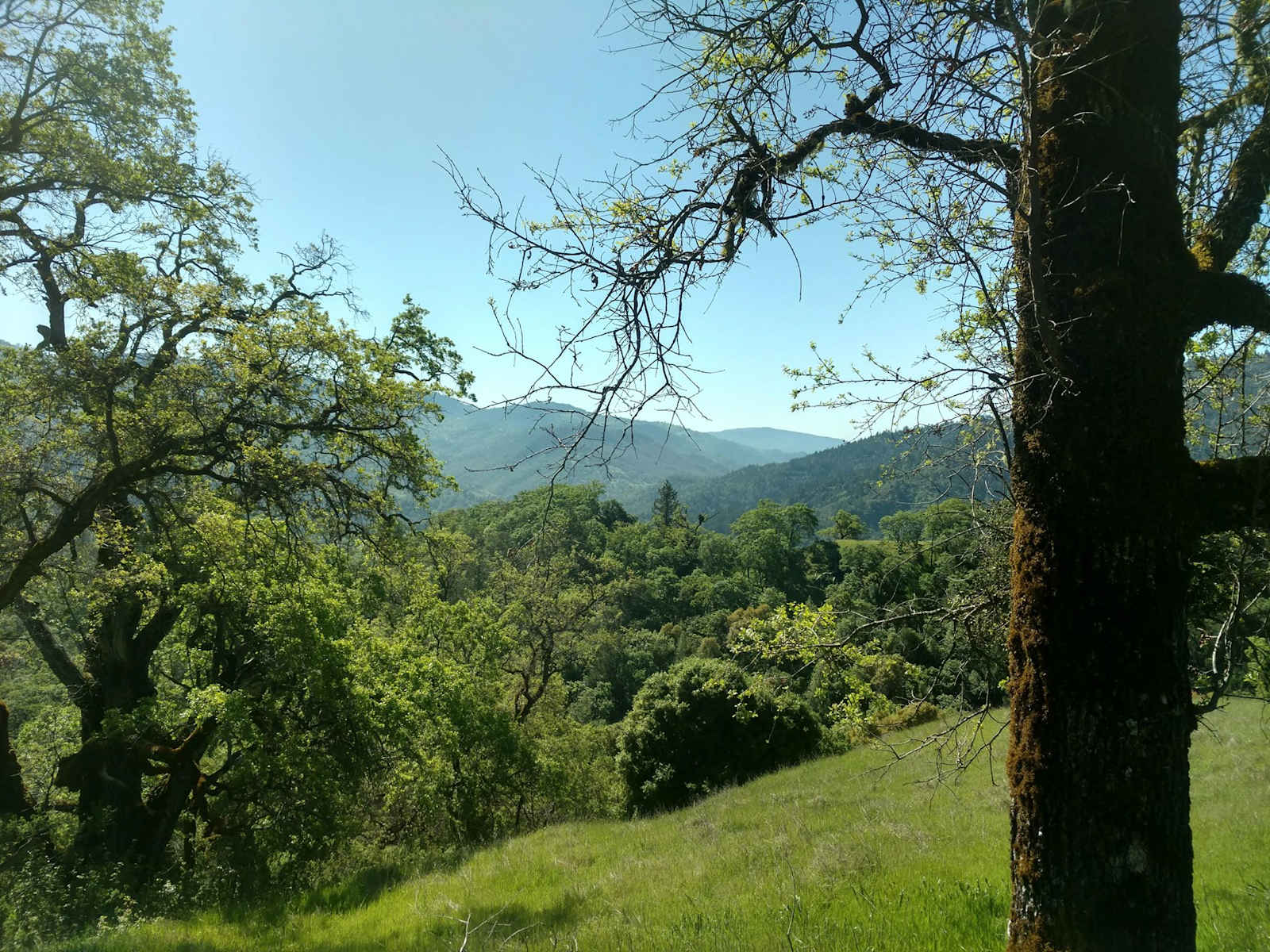 Jackrabbit Ranch - glamping.directory