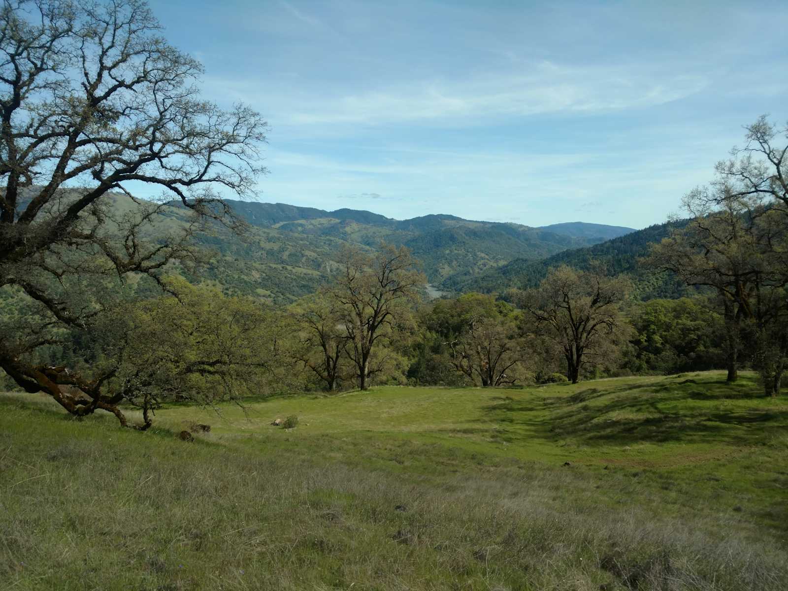 Jackrabbit Ranch - Laytonville, California - glamping.directory