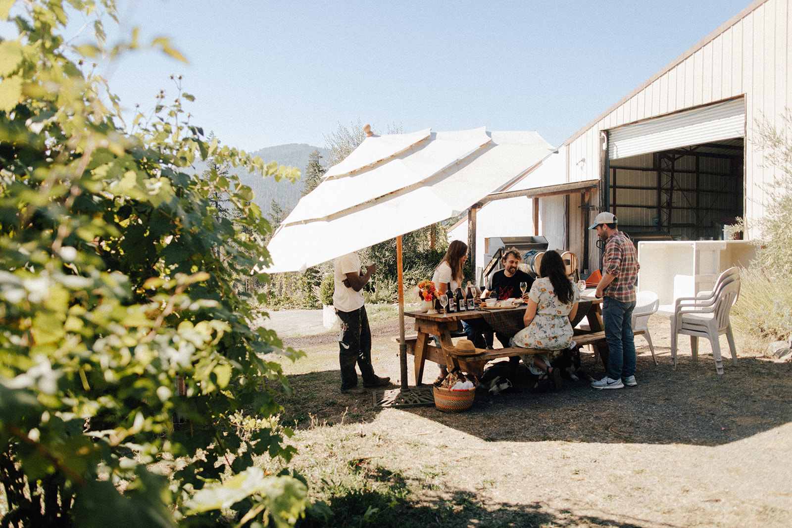 Miles Garrett Vineyard - Willow Creek, California - glamping.directory