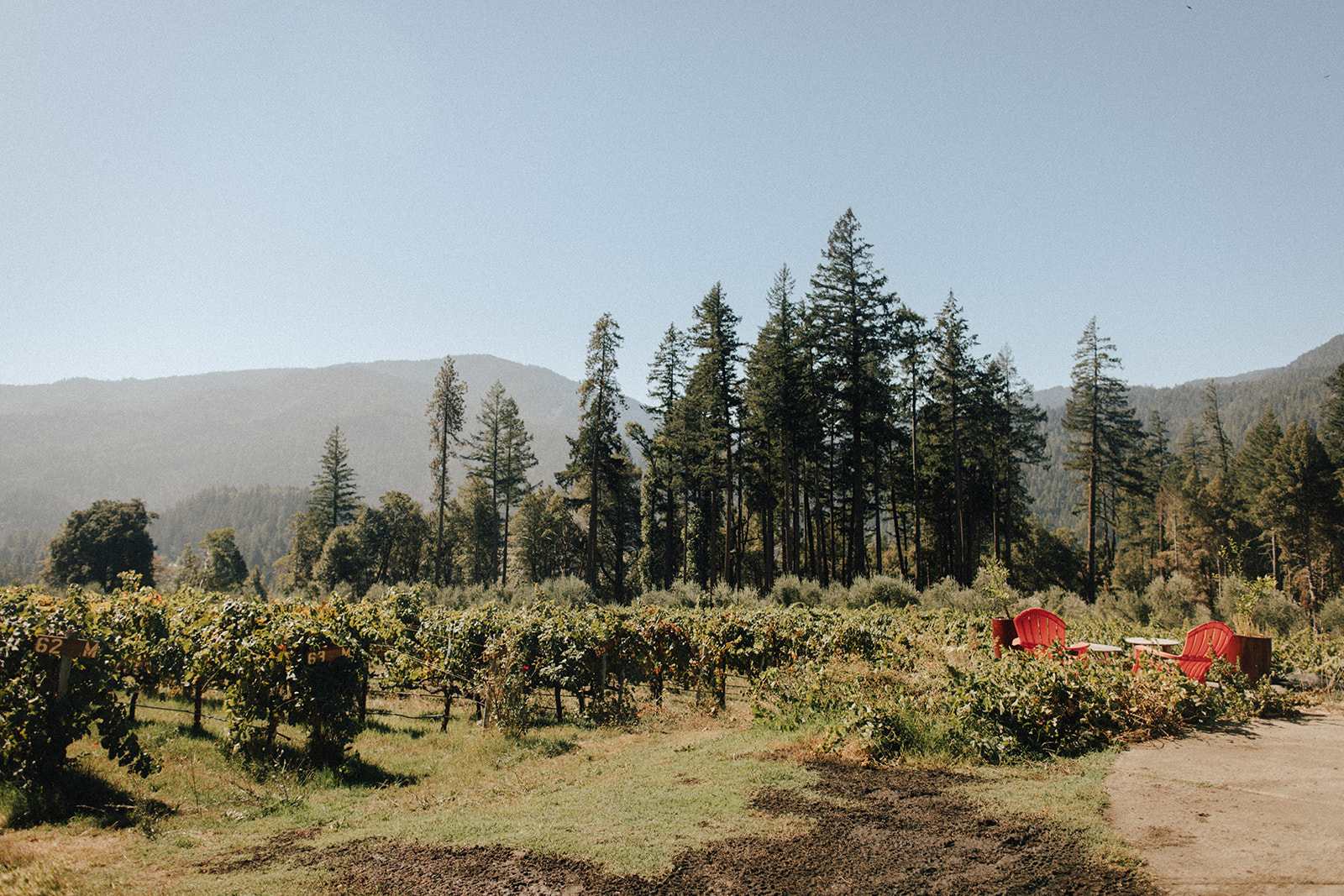 Miles Garrett Vineyard - glamping.directory