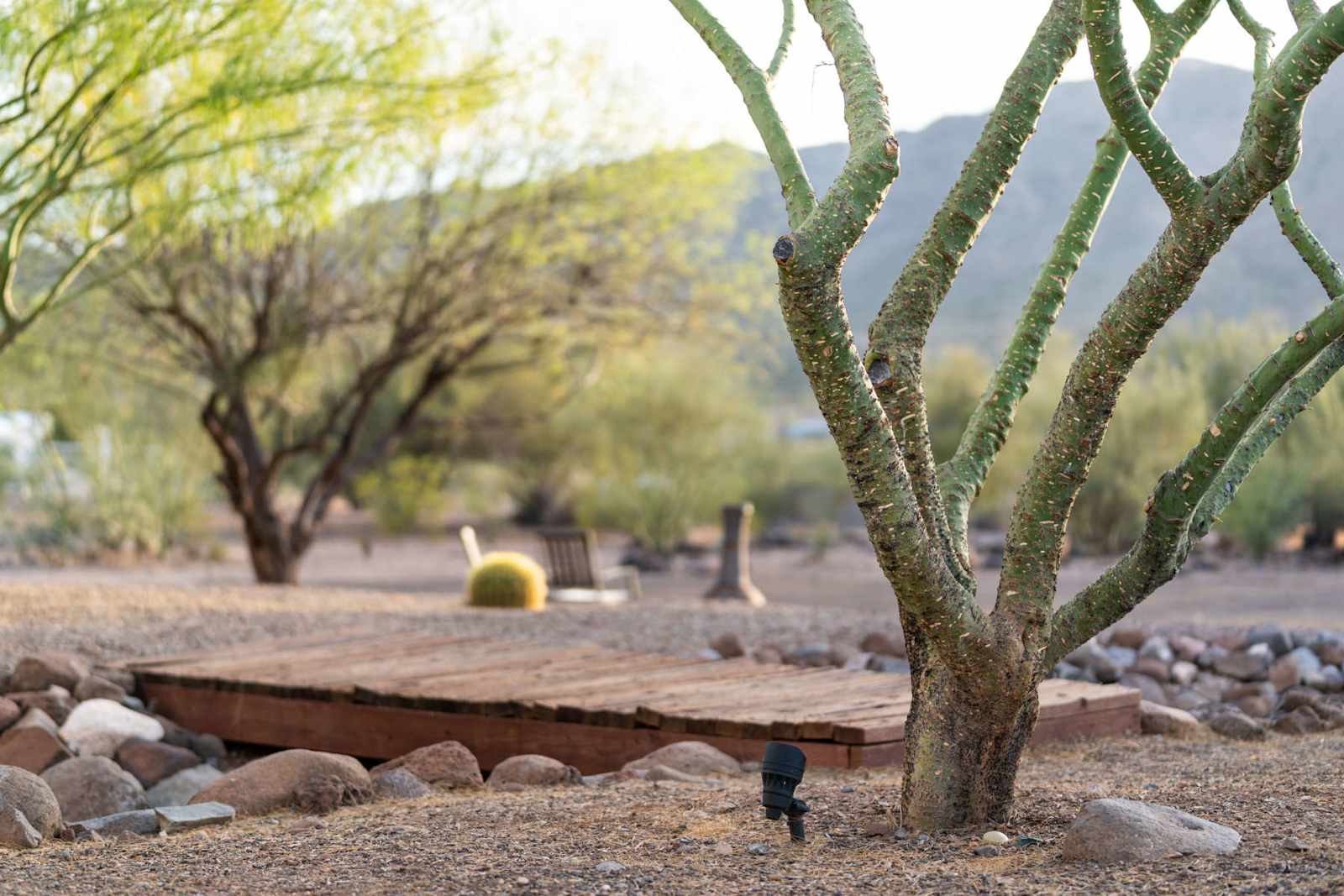Mountain View Retreat - New River, Arizona - glamping.directory