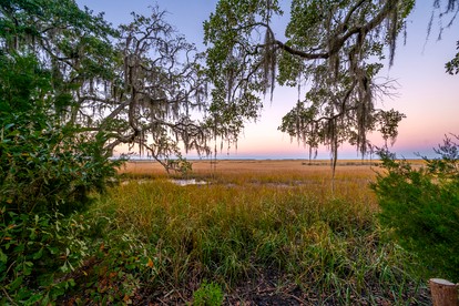 Secluded Treehouse Tent Retreat on the Marsh with Outdoor Dining, Grilling Gear, Games, Views in Townsend, Georgia - Townsend, Georgia - glamping.directory