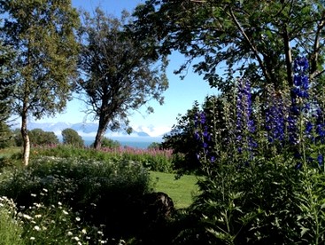 Picturesque Cabin Rental for a Romantic Getaway near Kachemak, Alaska - Homer, Alaska - glamping.directory