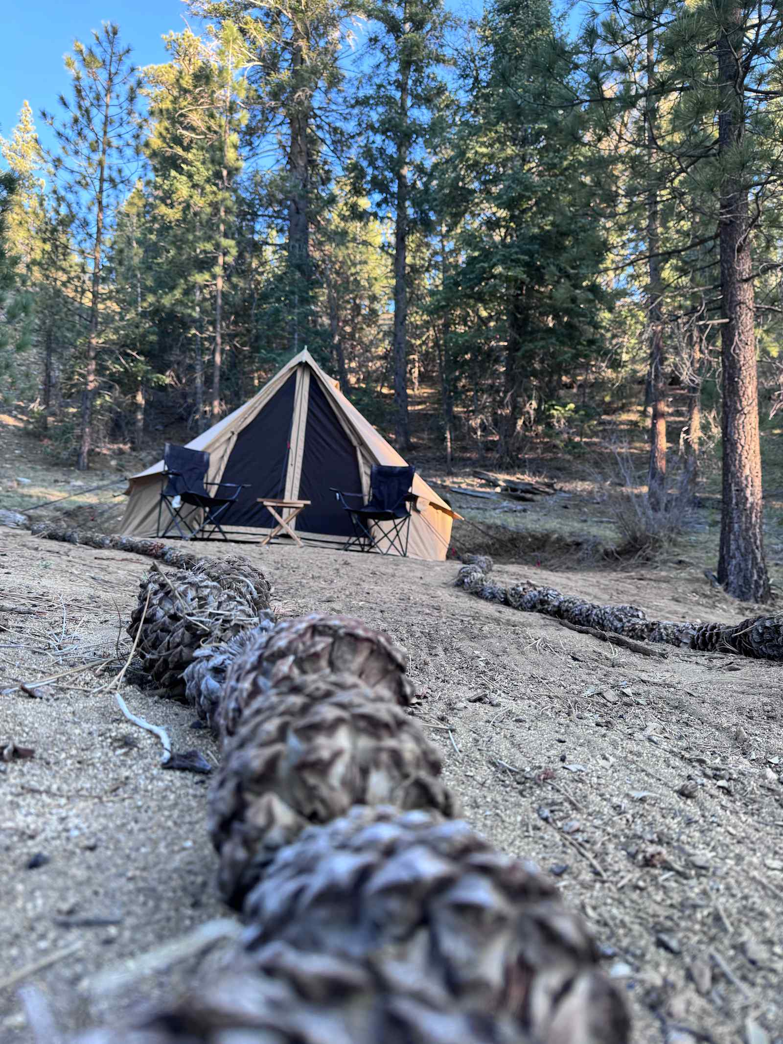 Camp Durrwood - Big Bear City, California - glamping.directory