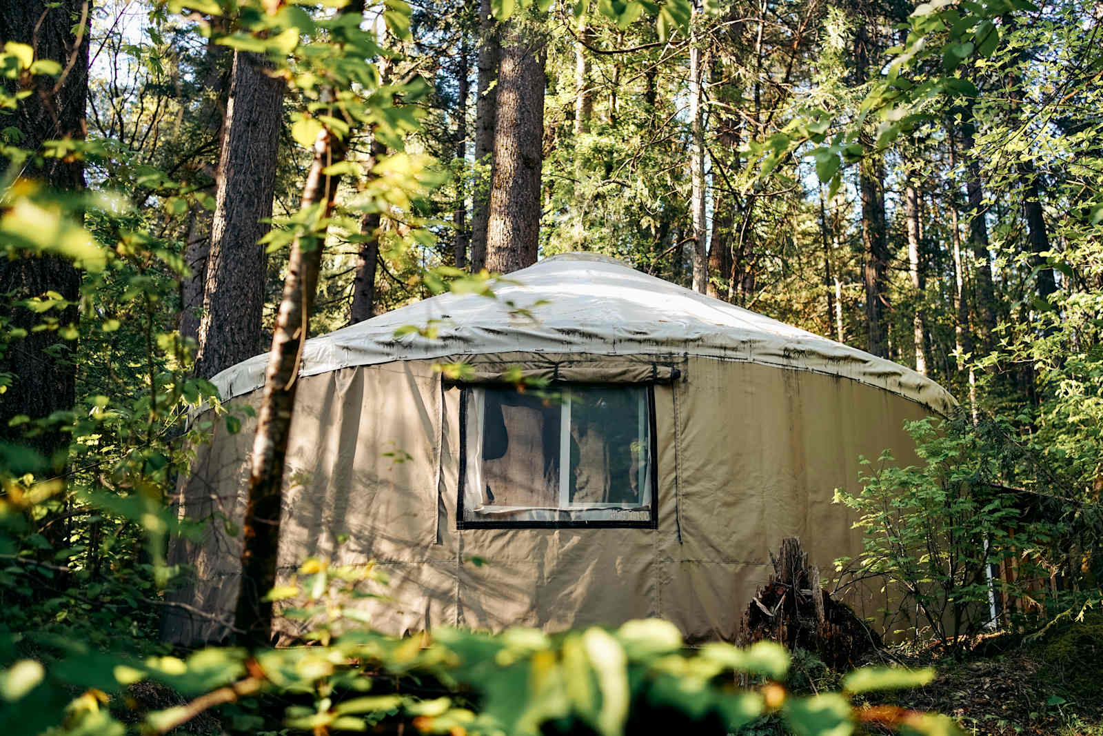 Private Yurts - Nevada City - glamping.directory