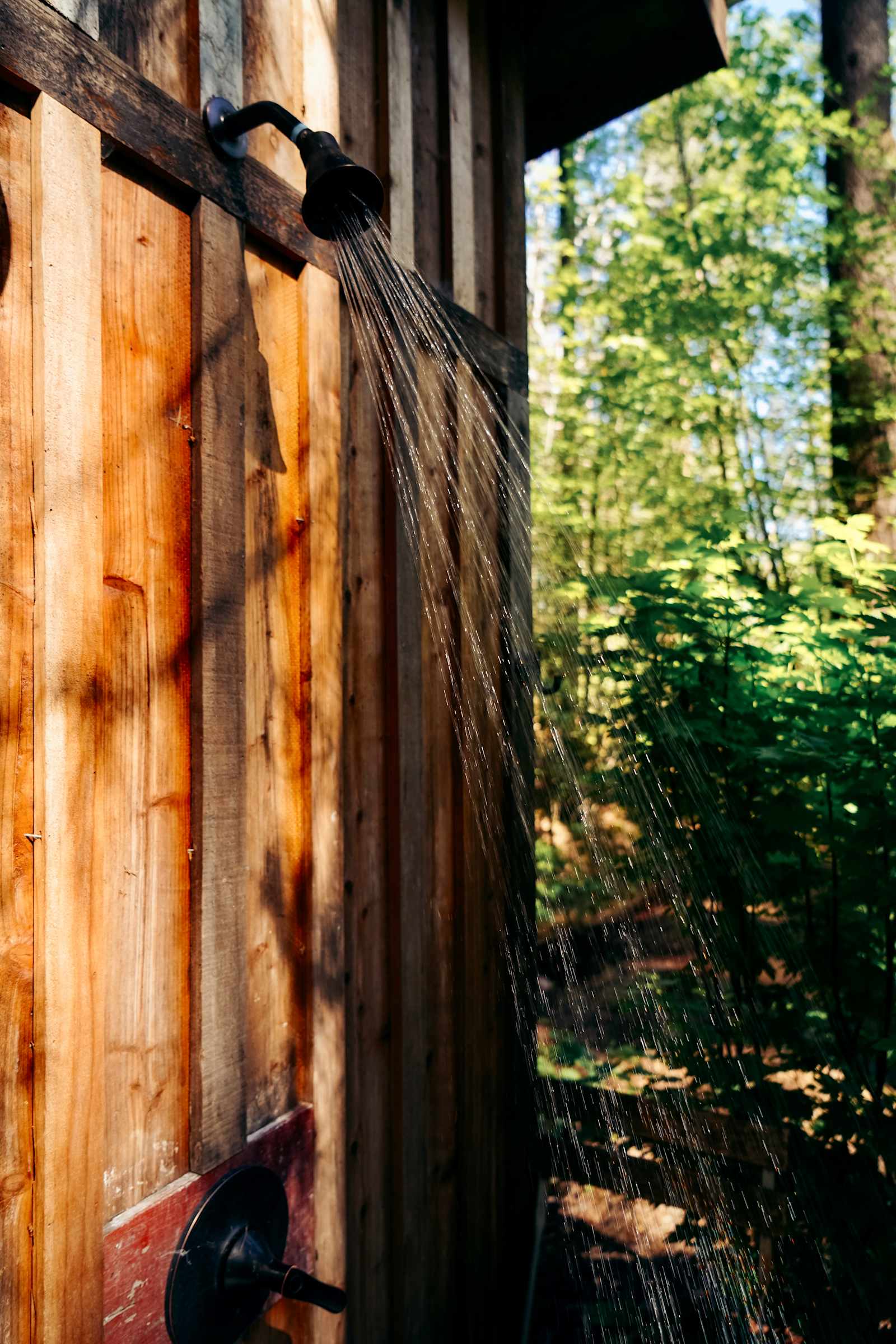 Private Yurts - Nevada City - Nevada City, California - glamping.directory