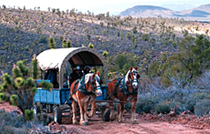 Glamping Cabins by Grand Canyon, Arizona - Meadview, Arizona - glamping.directory