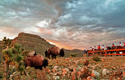 Glamping Cabins by Grand Canyon, Arizona - glamping.directory