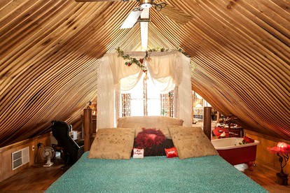 Unique Desert Experience for a Romantic Getaway Ideal for Exotic Animal Lovers in Morongo Valley, California. - Morongo Valley, California - glamping.directory