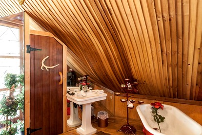 Unique Desert Experience for a Romantic Getaway Ideal for Exotic Animal Lovers in Morongo Valley, California. - Morongo Valley, California - glamping.directory
