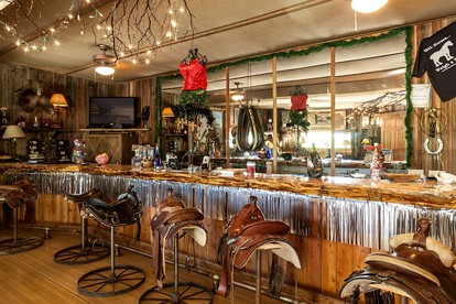 Unique Desert Experience for a Romantic Getaway Ideal for Exotic Animal Lovers in Morongo Valley, California. - Morongo Valley, California - glamping.directory