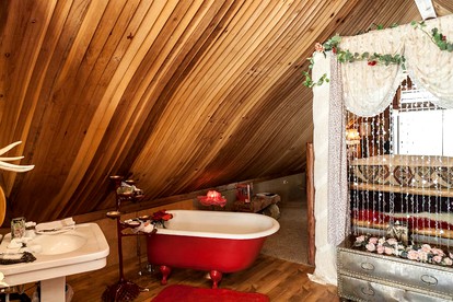 Unique Desert Experience for a Romantic Getaway Ideal for Exotic Animal Lovers in Morongo Valley, California. - Morongo Valley, California - glamping.directory