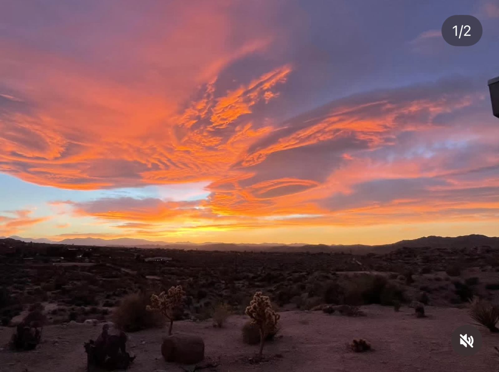 Desert Still - Twentynine Palms, California - glamping.directory