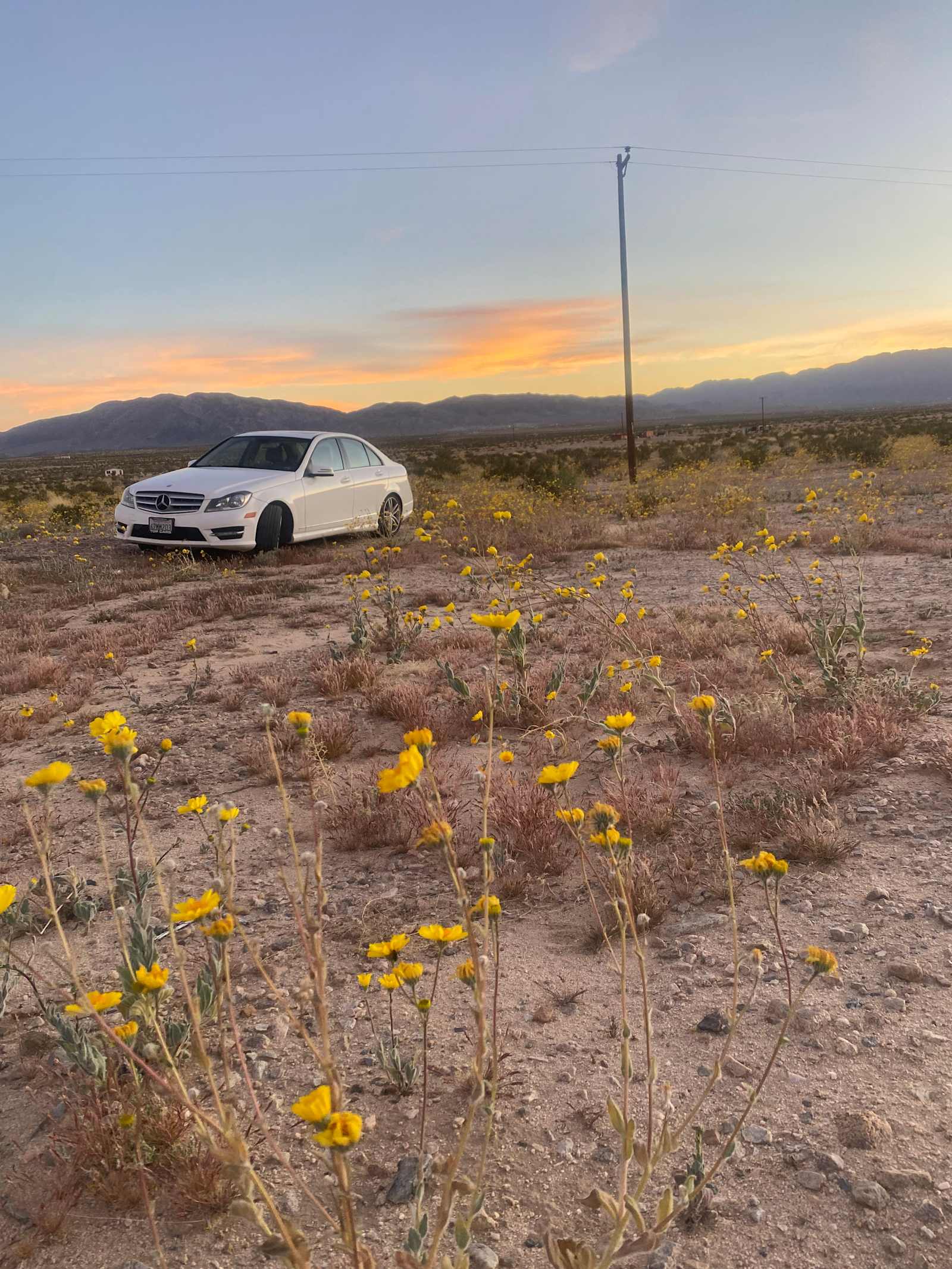 Desert Still - glamping.directory