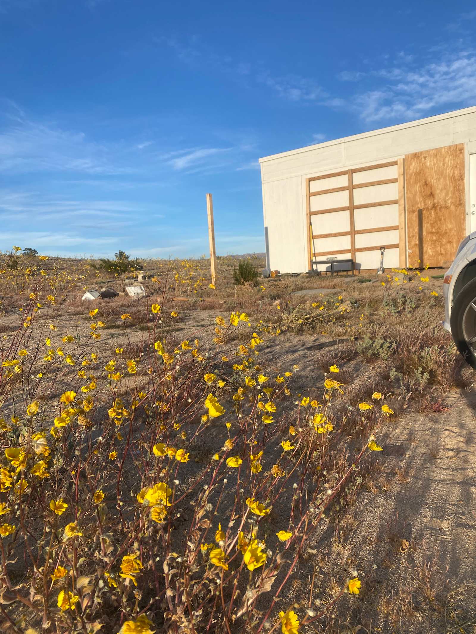 Desert Still - Twentynine Palms, California - glamping.directory