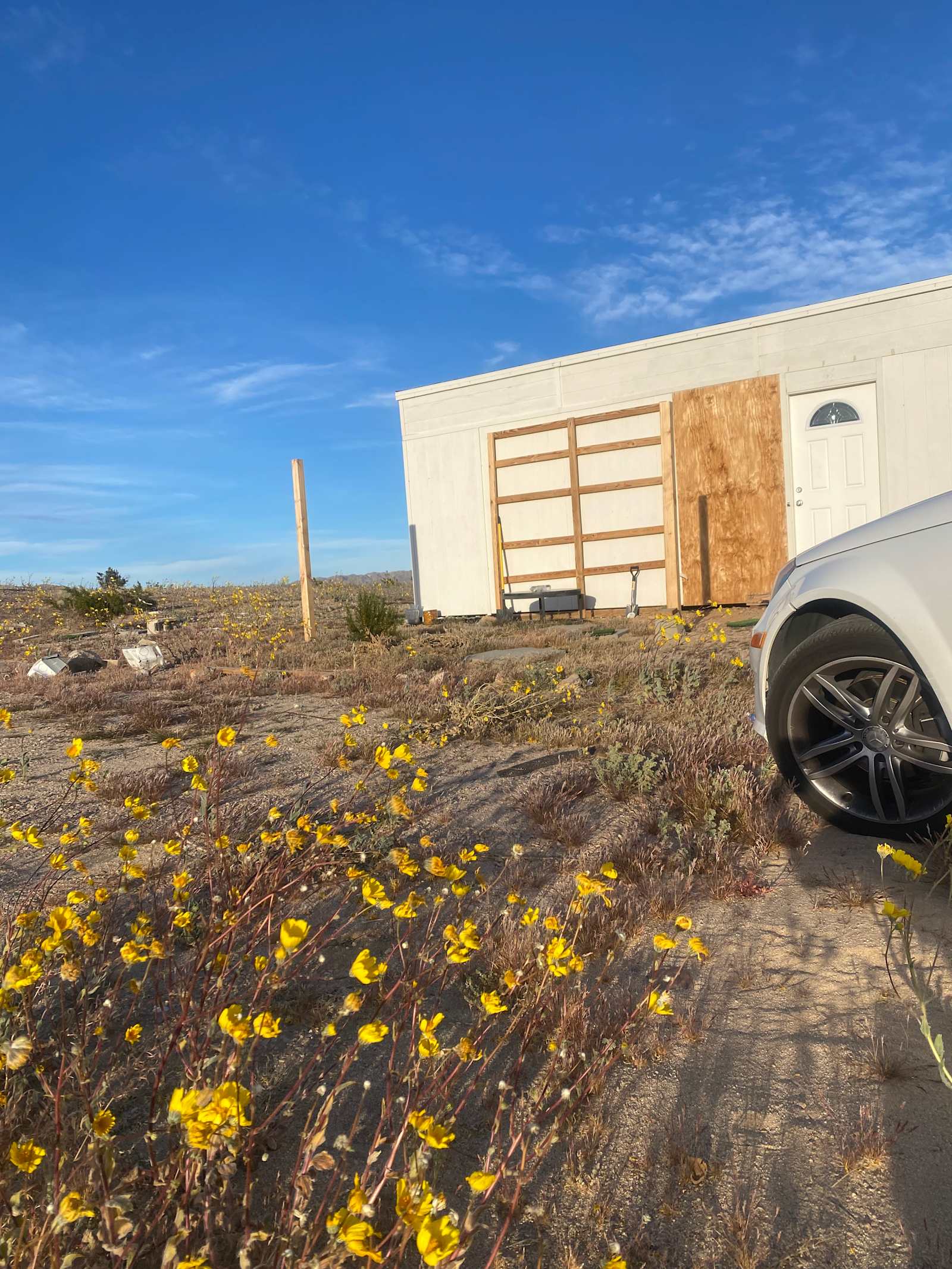 Desert Still - Twentynine Palms, California - glamping.directory
