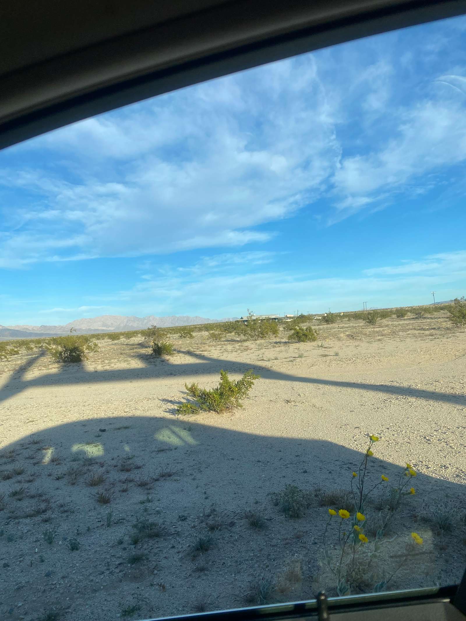 Desert Still - Twentynine Palms, California - glamping.directory