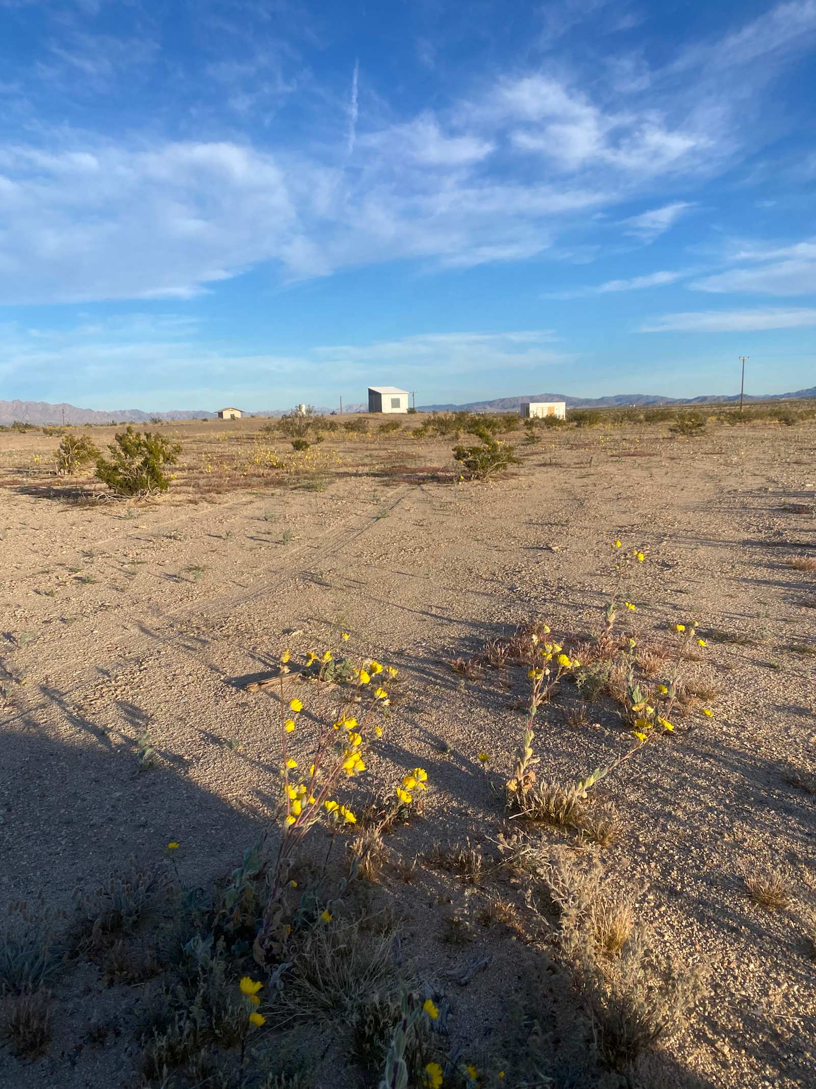 Desert Still - Twentynine Palms, California - glamping.directory
