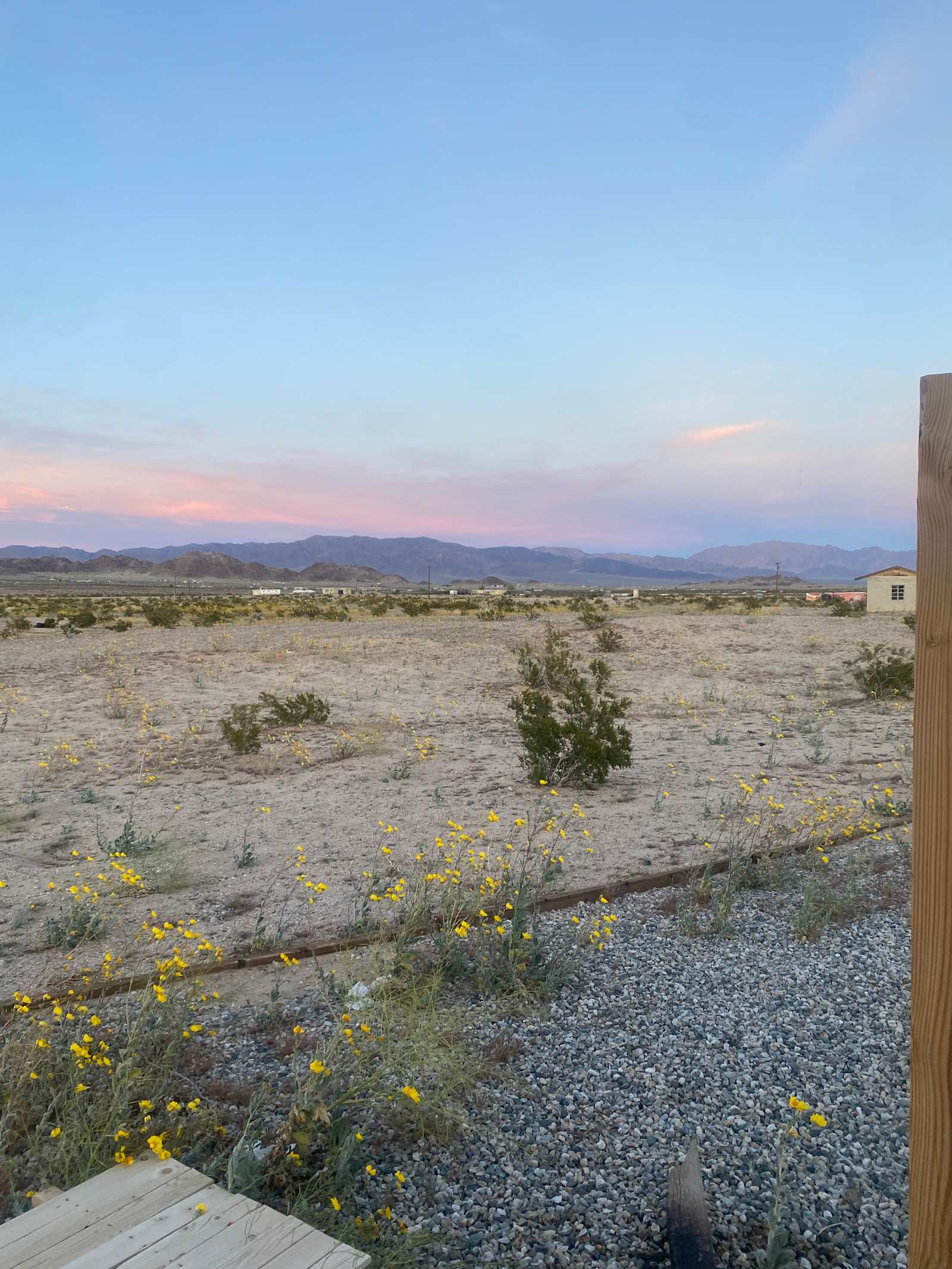 Desert Still - Twentynine Palms, California - glamping.directory
