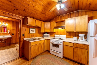 Charming Pet-Friendly Cabin in Ely, Ideal for Getaways to Nature in Minnesota - Ely, Minnesota - glamping.directory