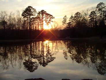 Glamping Cabin at an Adventure Park near Diana, Texas - Diana, Texas - glamping.directory
