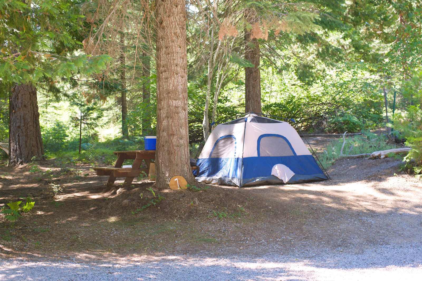Cozy Creek Camp - glamping.directory