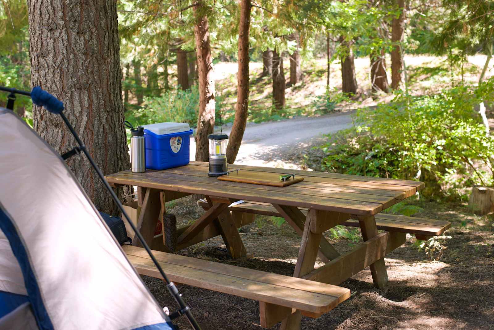 Cozy Creek Camp - Mount Shasta, California - glamping.directory