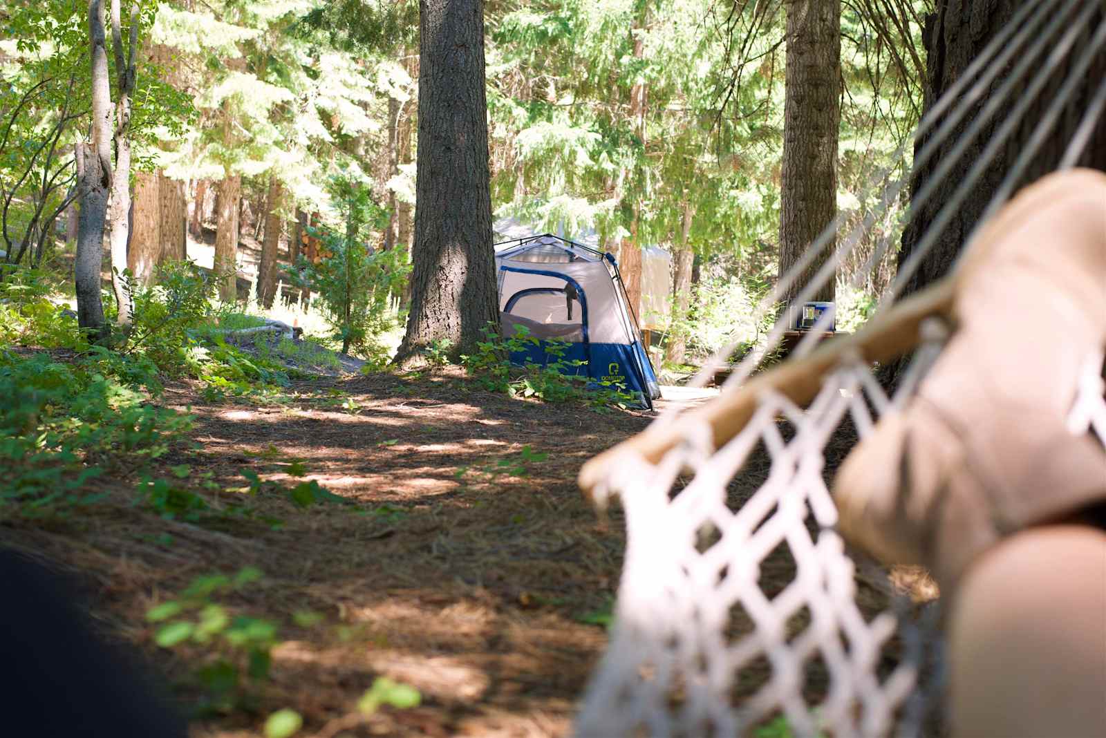 Cozy Creek Camp - Mount Shasta, California - glamping.directory