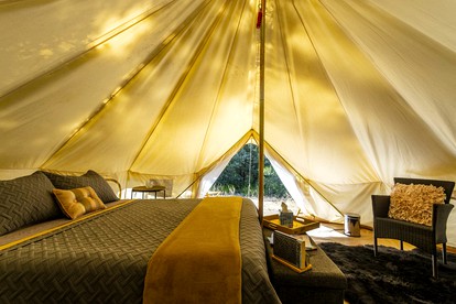 Family Adventure Awaits: Glamping Under the Stars in Mt. Laguna, California - Mount Laguna, California - glamping.directory
