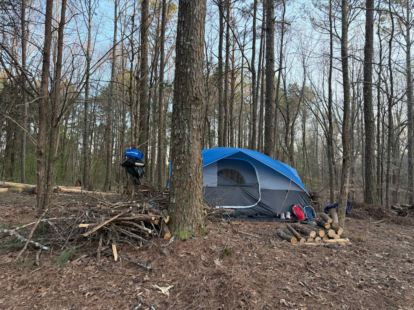 Campingallstars - Hodges, Alabama - glamping.directory