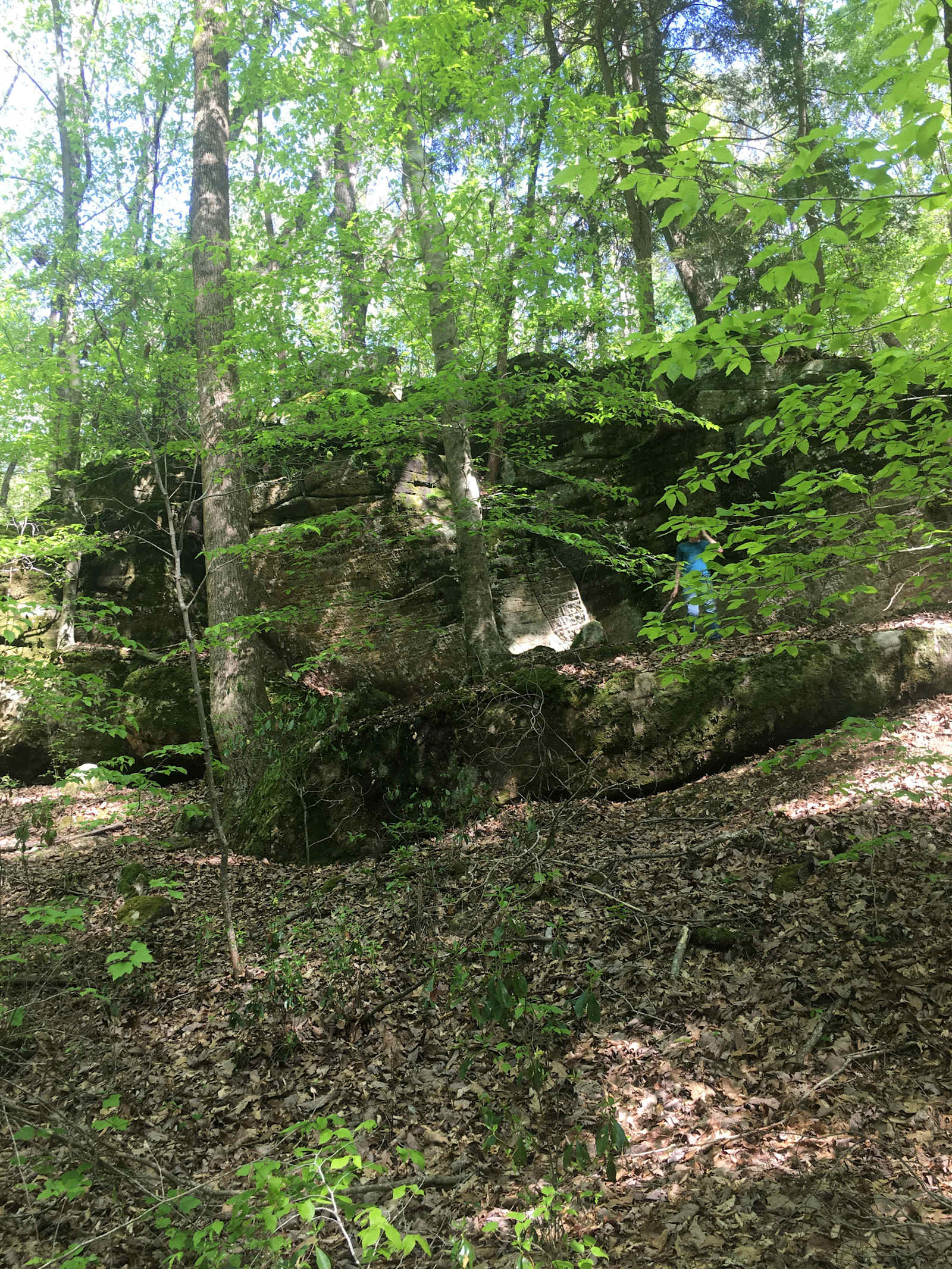 Campingallstars - Hodges, Alabama - glamping.directory