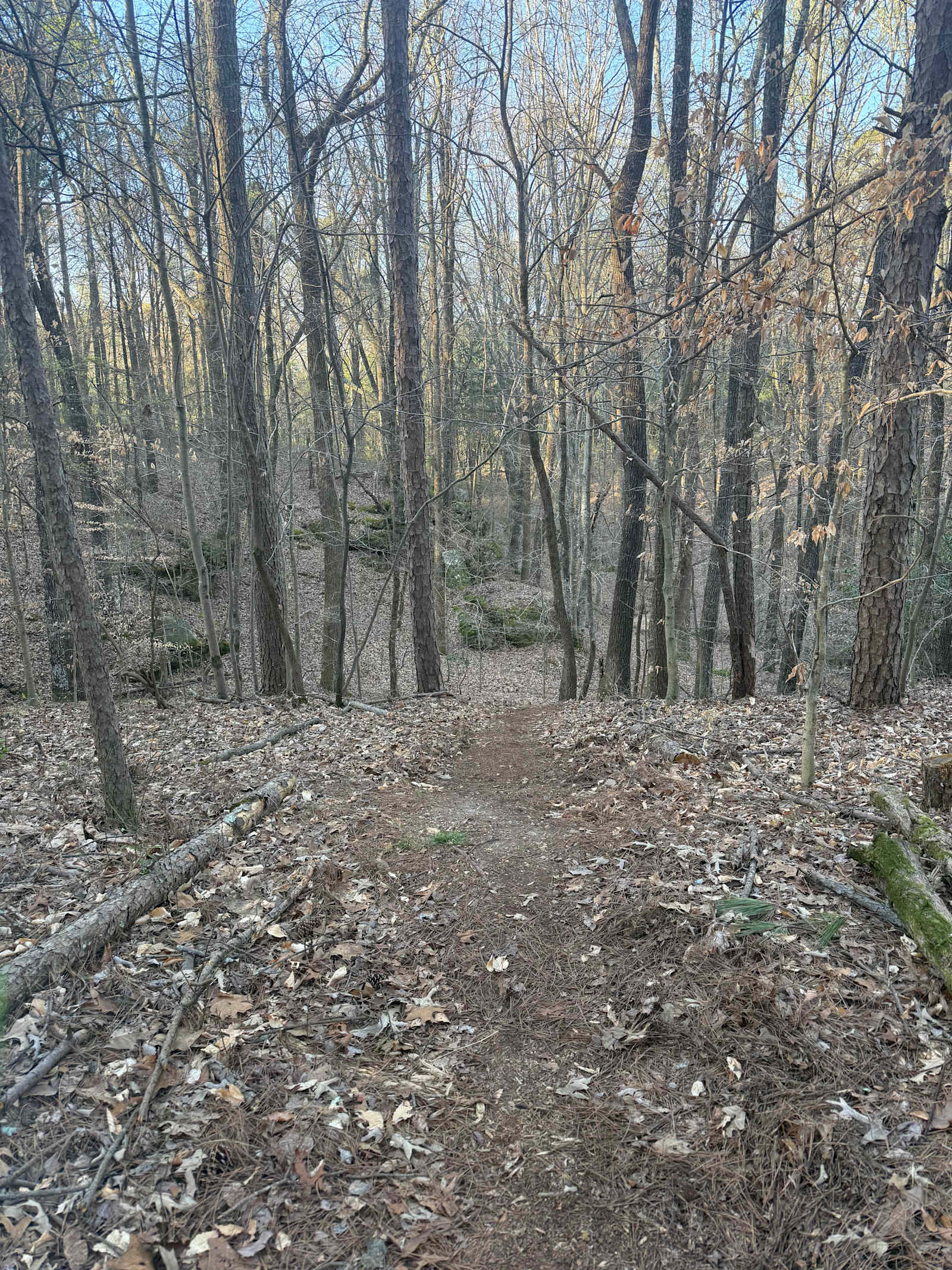 Campingallstars - Hodges, Alabama - glamping.directory