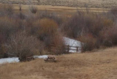 Pet-Friendly Cabin Rental on 13-Acre Property with Creek near Salida, Colorado - Villa Grove, Colorado - glamping.directory