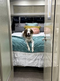 Remarkable Airstream Completely Equipped with Private Patio in Tennessee - Sevierville, Tennessee - glamping.directory