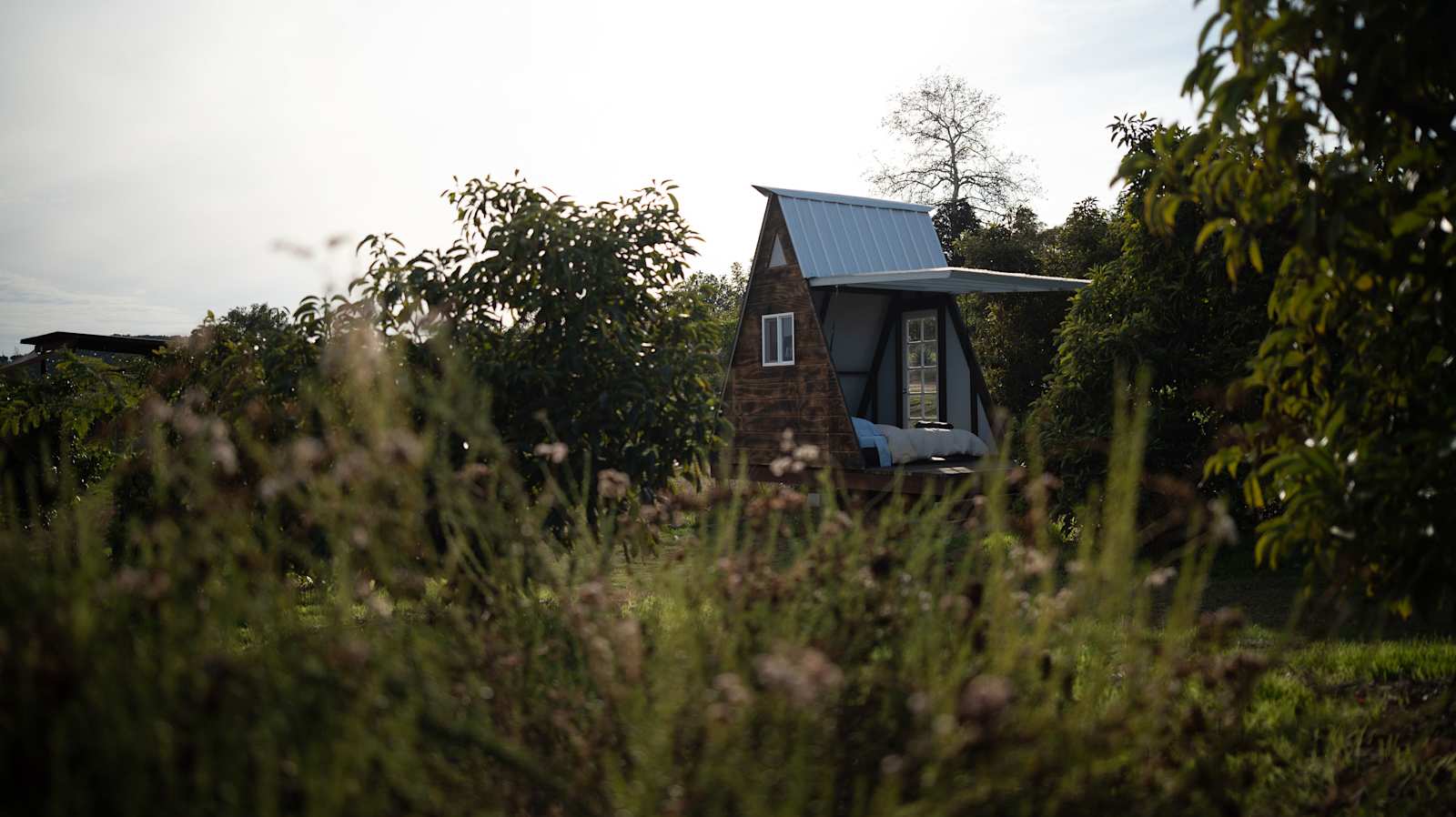 Campo Nopalito - glamping.directory