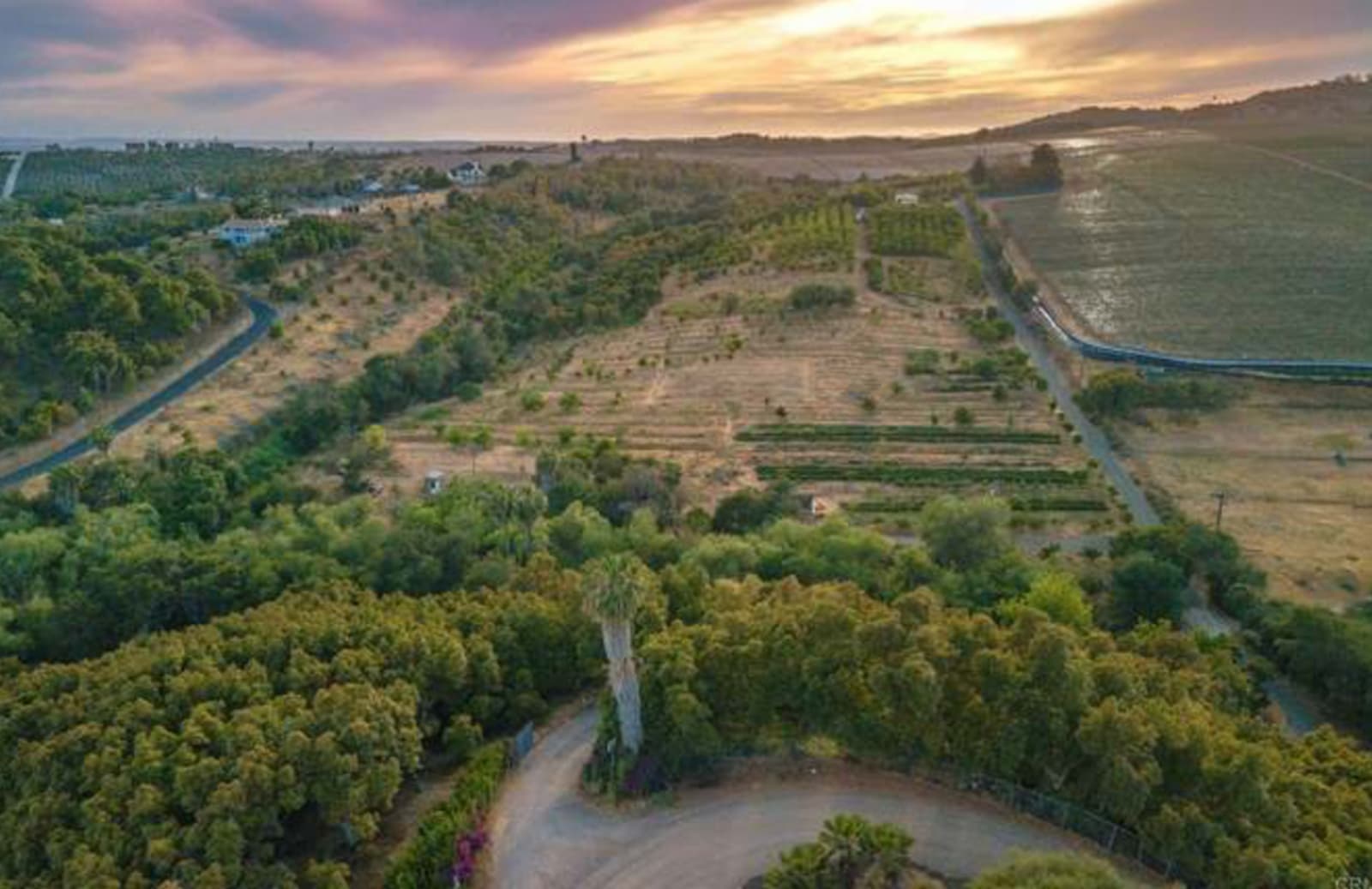 Morro Hills - Dark Sky Dry Camp/RV - Bonsall, California - glamping.directory
