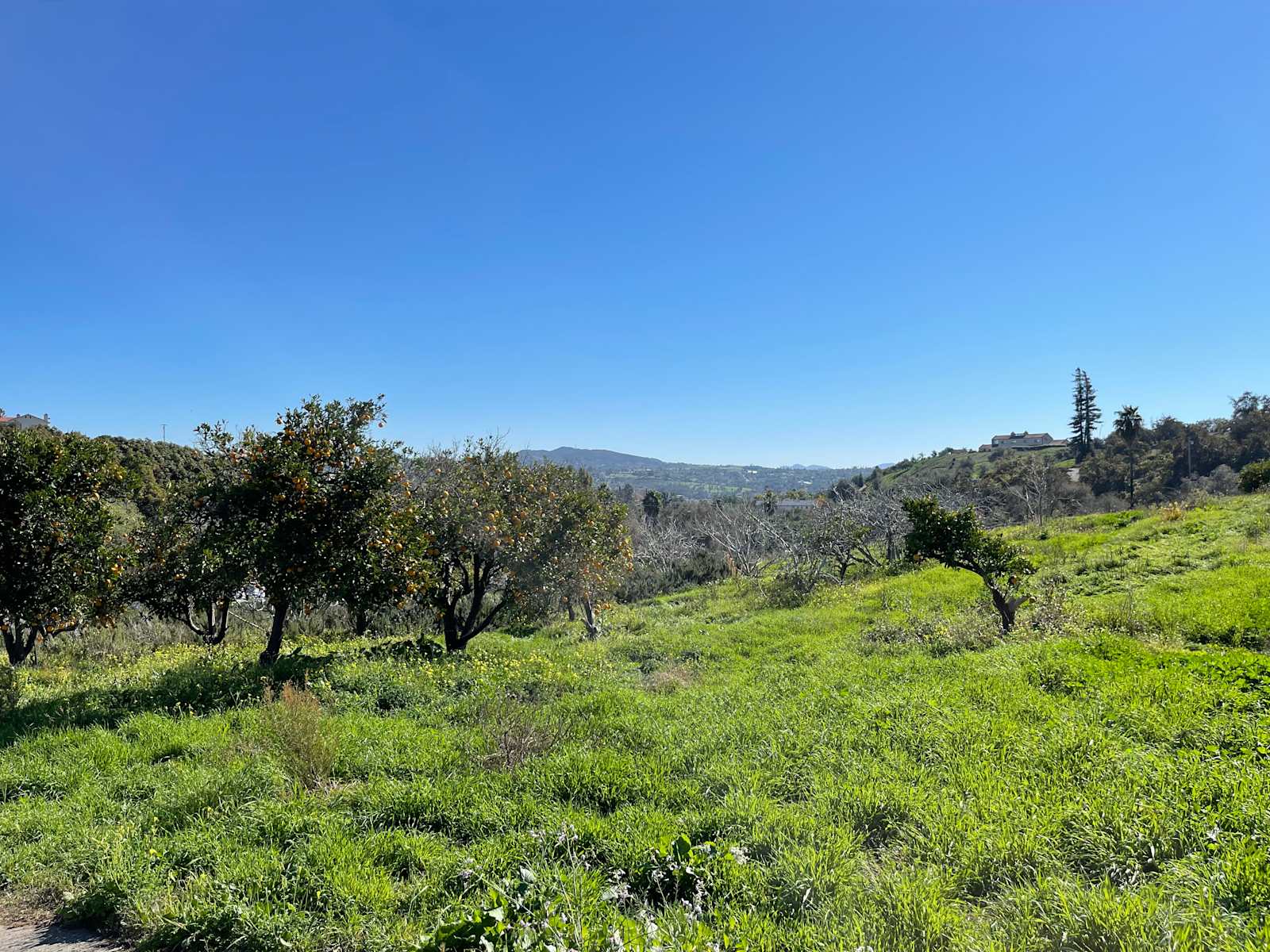 Morro Hills - Dark Sky Dry Camp/RV - Bonsall, California - glamping.directory