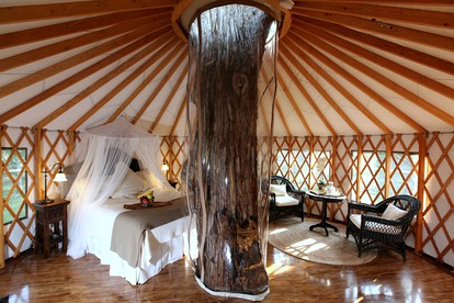 Stunning Tree House near Austin, Texas - Spicewood, Texas - glamping.directory