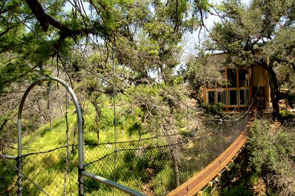 Stunning Tree House near Austin, Texas - Spicewood, Texas - glamping.directory