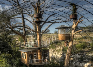 Stunning Tree House near Austin, Texas - Spicewood, Texas - glamping.directory