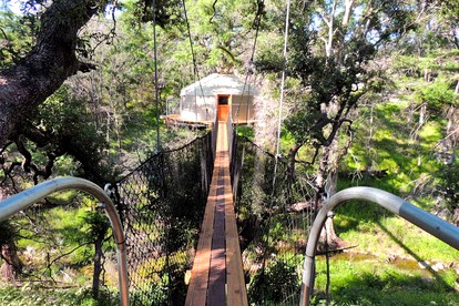Stunning Tree House near Austin, Texas - Spicewood, Texas - glamping.directory